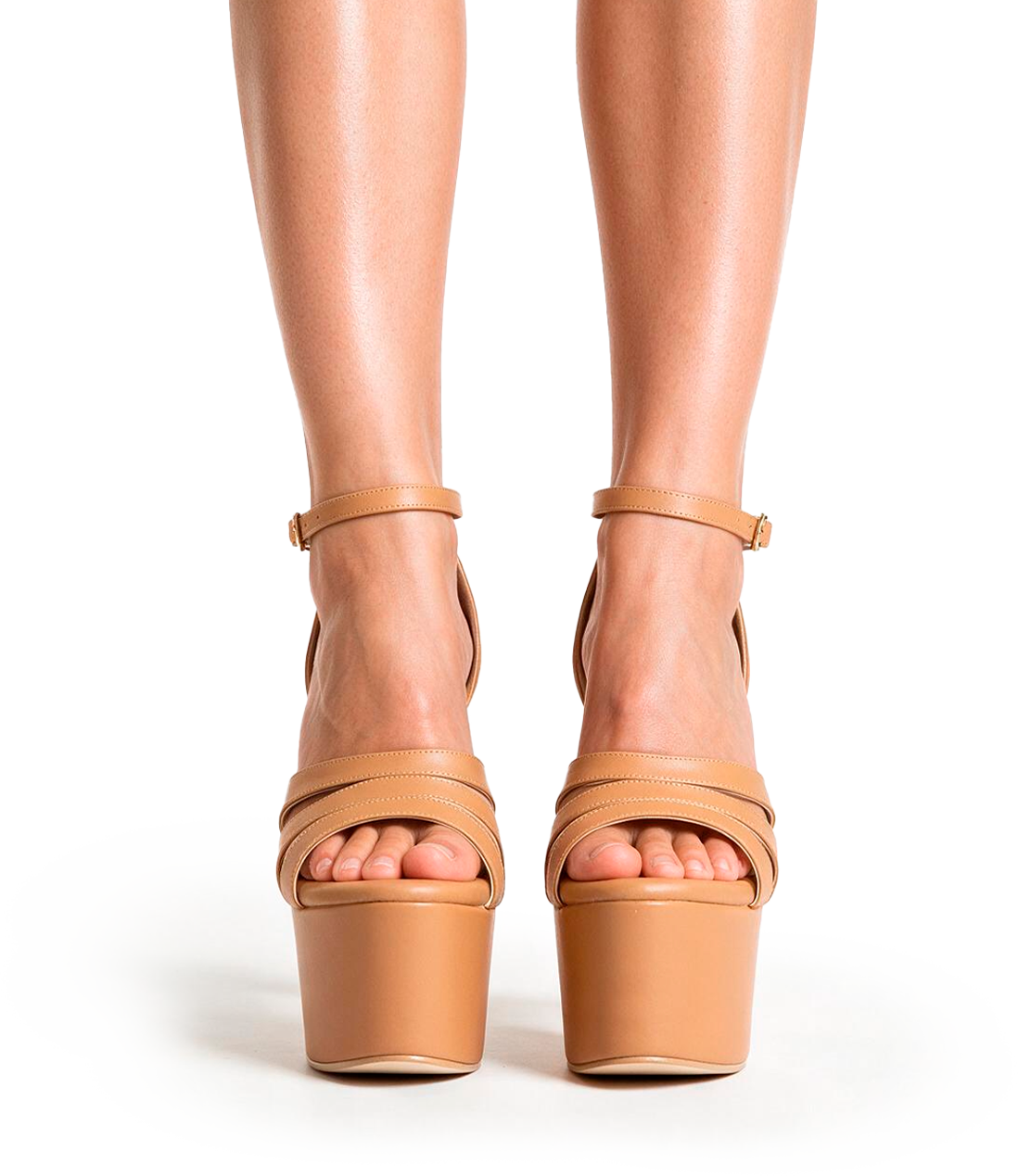 213 Camel